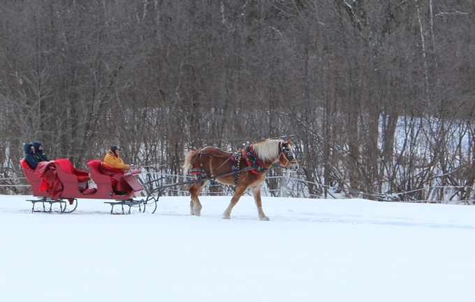 Vermont sleigh ride