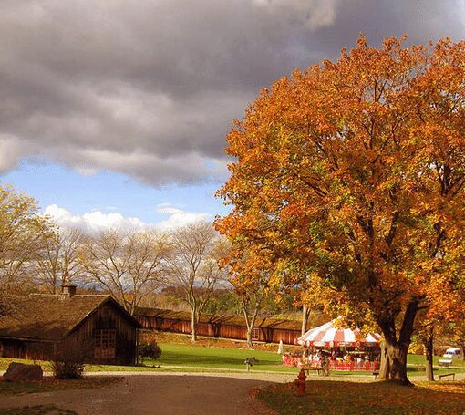 shelburne museum circus barn and carousel