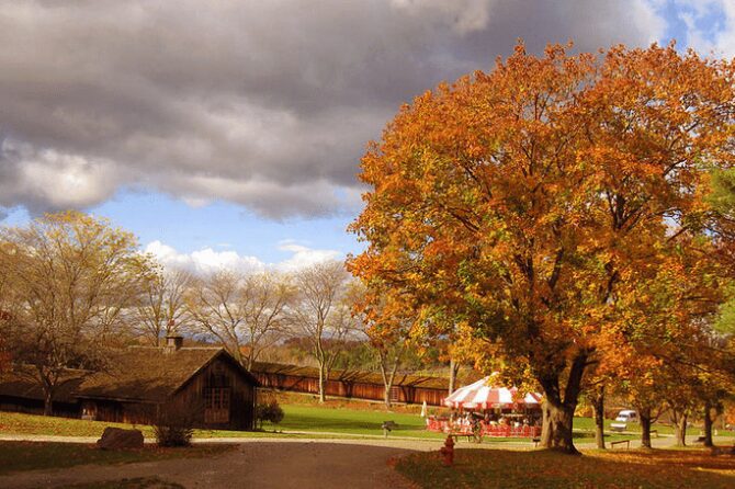 shelburne museum circus barn and carousel