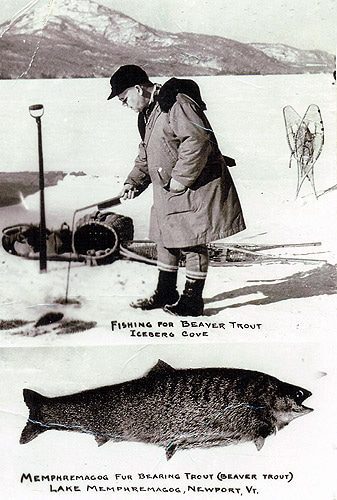 Fur Bearing Trout