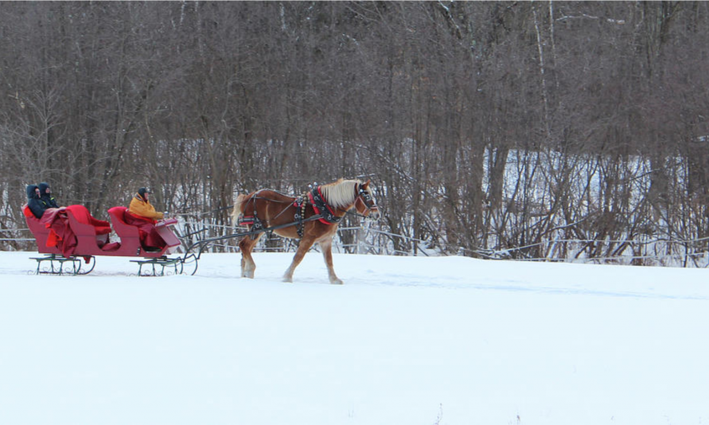 Christmas sleigh rides at Stowe, Vermont