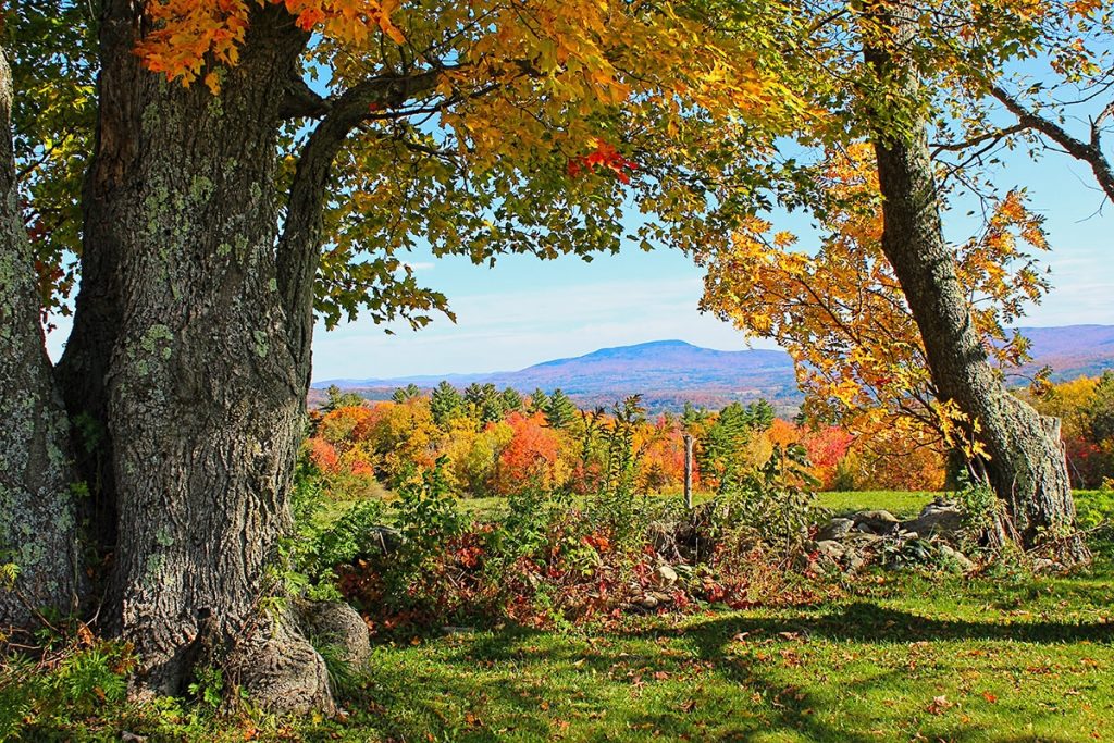 Autumn in Vermont