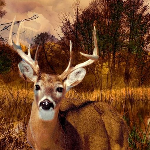 Vermont Hunting Season