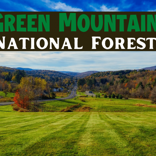 Green Moutain National Forest