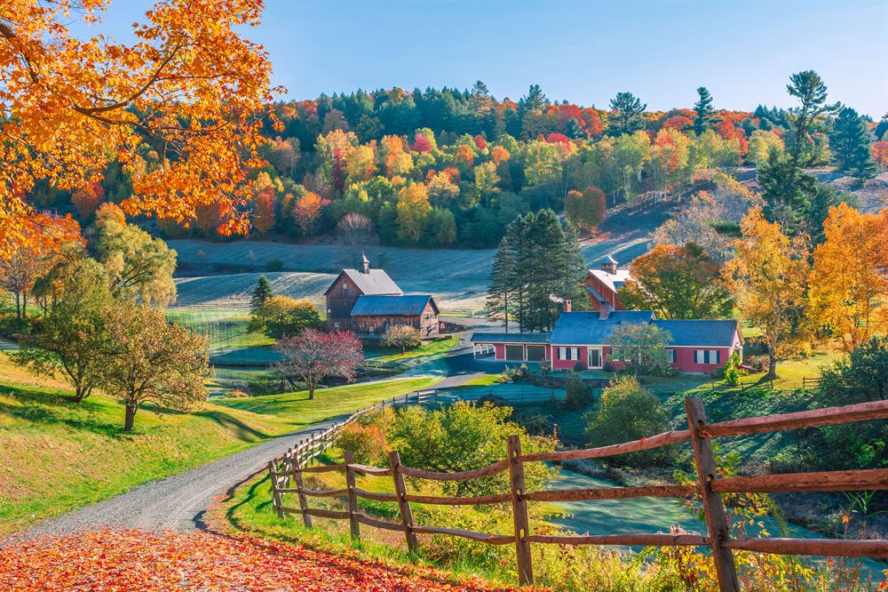 Jenne Farm Woodstock