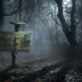 Patch Hollow - Wallingford, Vermont