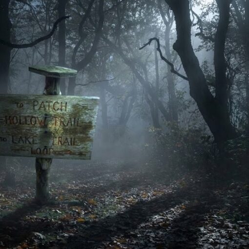 Patch Hollow - Wallingford, Vermont